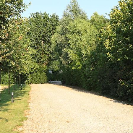 Agriturismo B&B Il Girasole Oriago Di Mira Εξωτερικό φωτογραφία