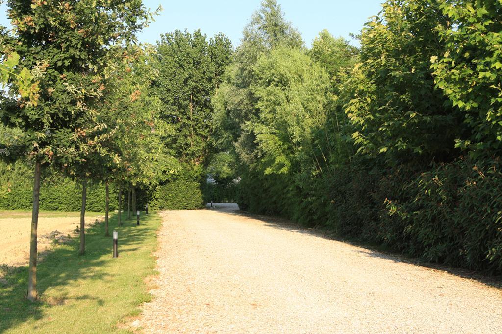 Agriturismo B&B Il Girasole Oriago Di Mira Εξωτερικό φωτογραφία
